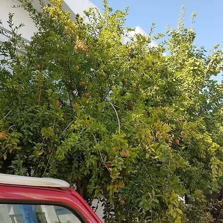 Appartamento Thalassa