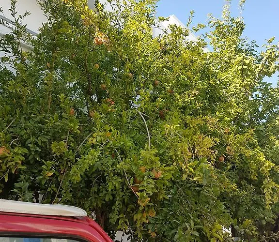 Апартаменты Thalassa