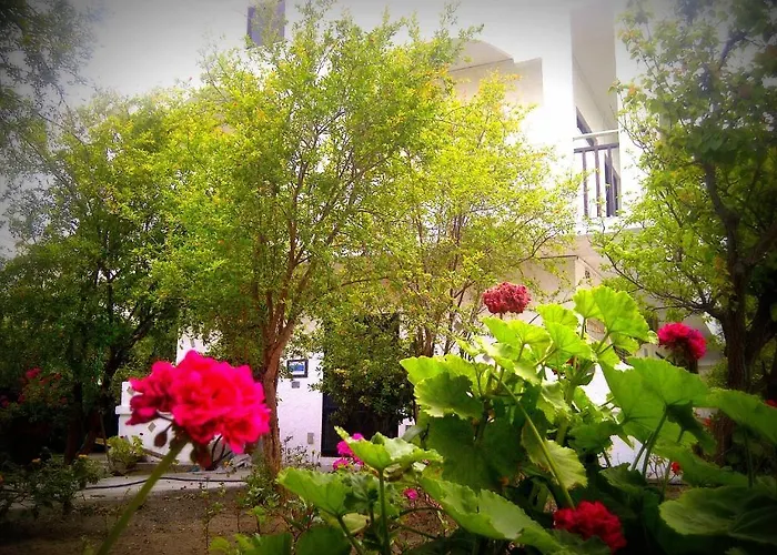 Апартаменты Thalassa Фалираки