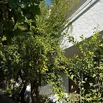 Apartment Thalassa *