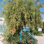 Thalassa Apartment