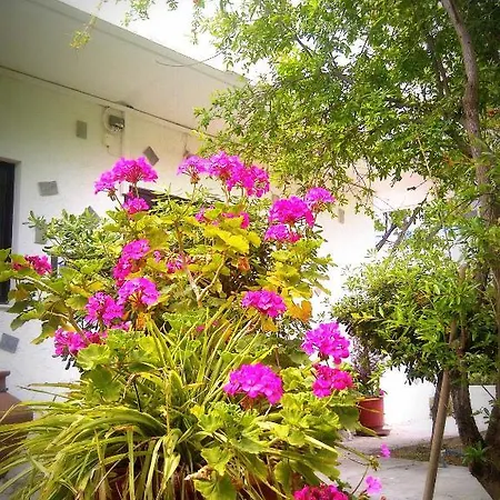 Thalassa Apartament Faliraki