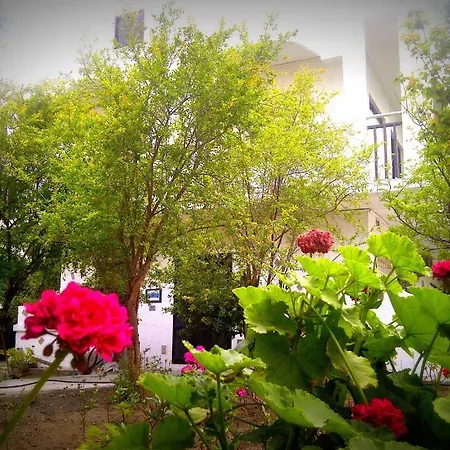 アパート Thalassa ファリラキ