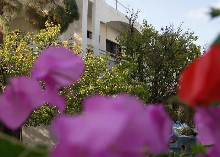 Thalassa ファリラキ