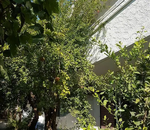 アパート Thalassa *