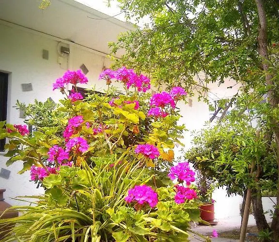 Thalassa Appartement Faliraki