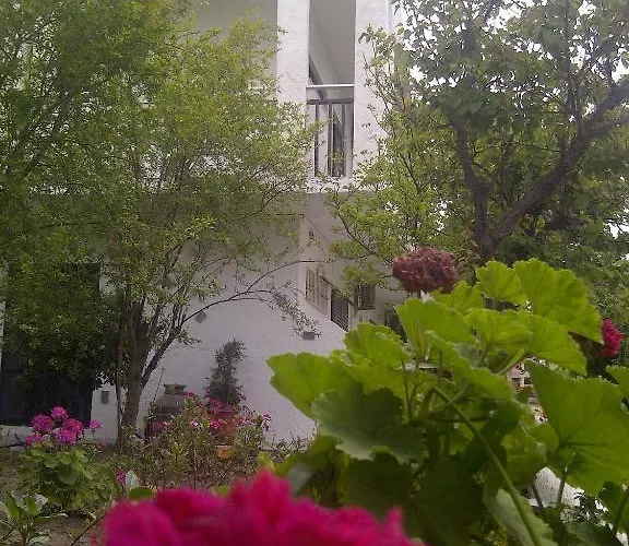 Thalassa * ファリラキ